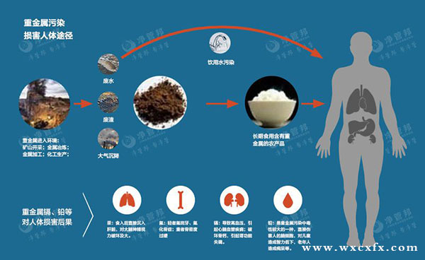 重金屬污染危害 /cxyq/20190708101216-FmJuhLmVKhddOTFIcy1gtyhrT1FV.jpg